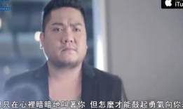 胖熊视频,趣味横生的动物世界之旅